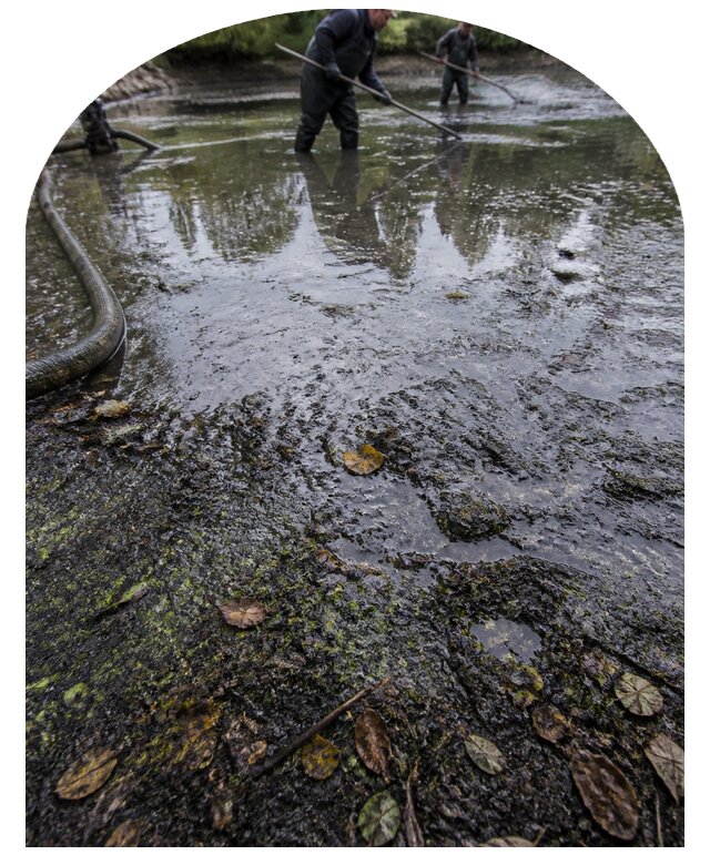 Очистка пруда в Апатитах от ила мусора и водорослей с вывозом